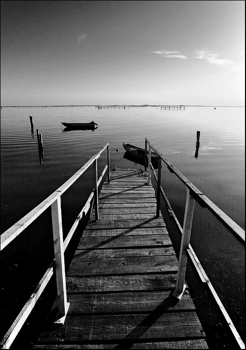 Verso fragili orizzonti