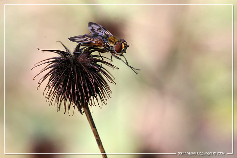 :: Applauso al fotografo...