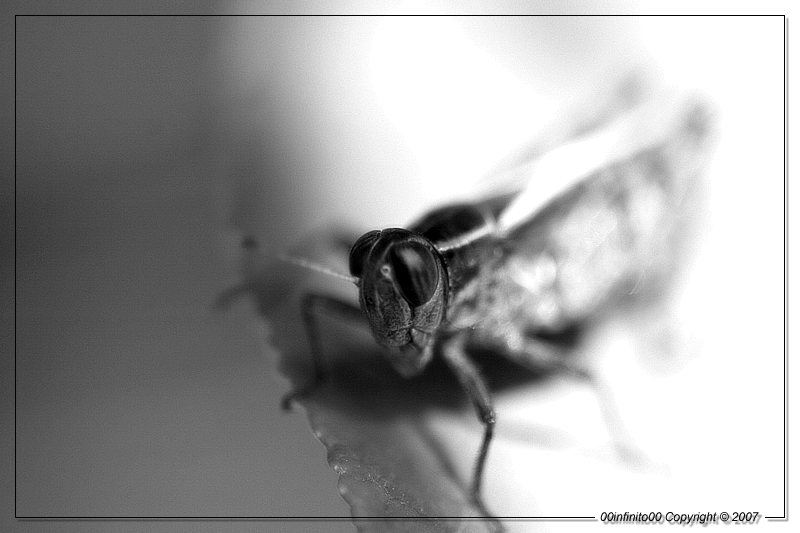 :: Mi ribello e posto una foto Glamour...