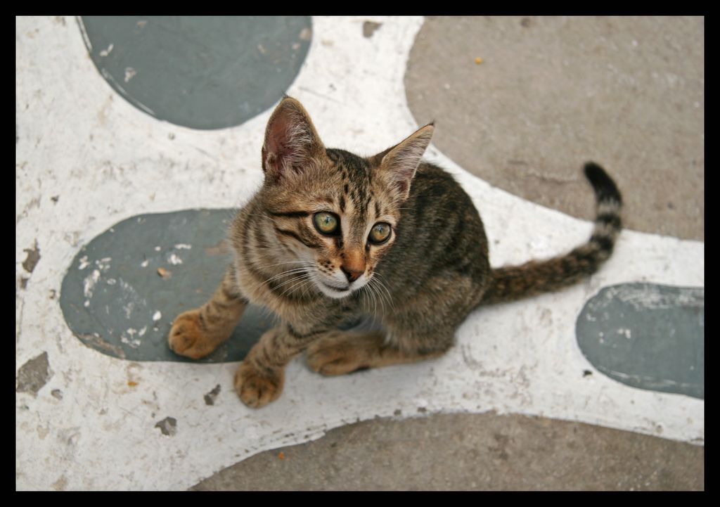 dai..non guardarmi cos�....