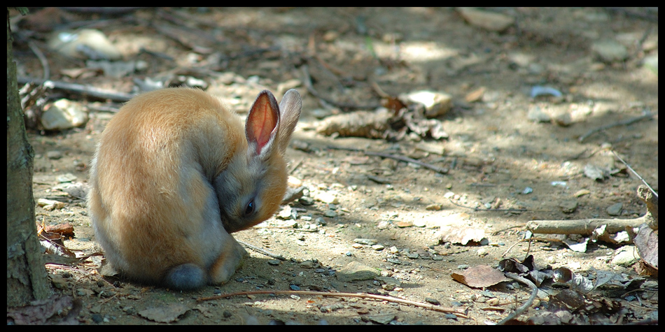 parco Martinat parco Martinat