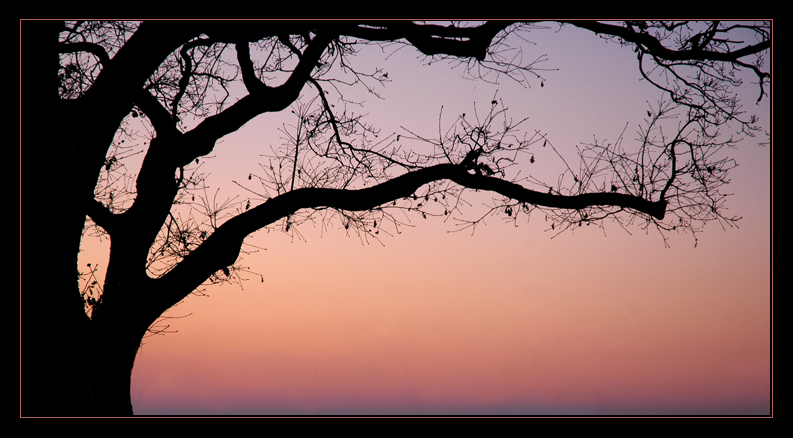 Spettatore della nascita di un nuovo giorno