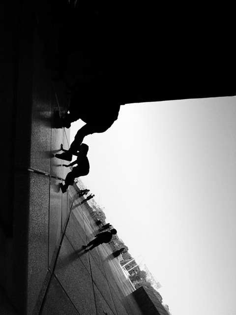 Sydney  - Opera House