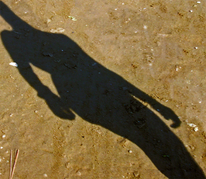 l'ombra.....per Modigliani