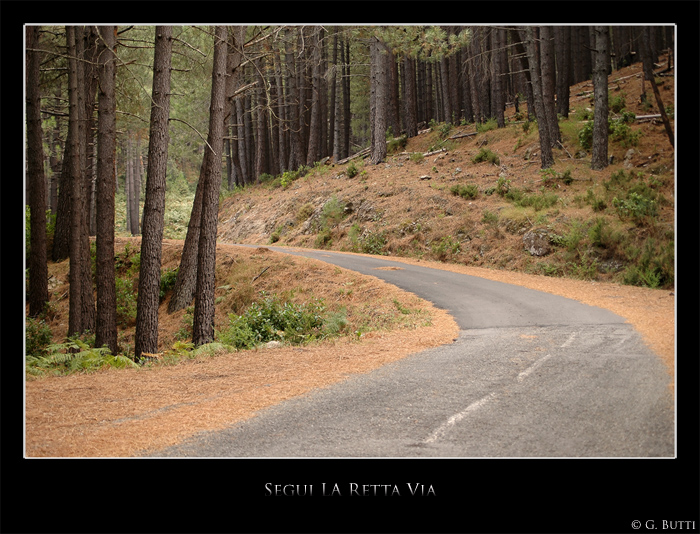 Segui La Retta via 2