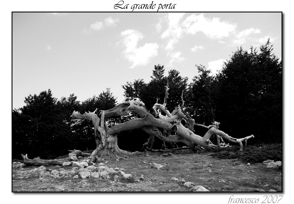 La grande porta