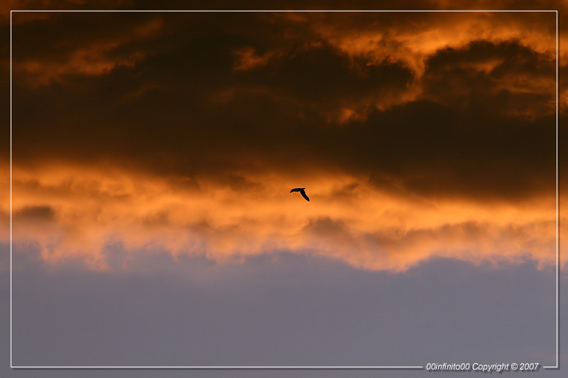 :: Fuggire dall'inferno...