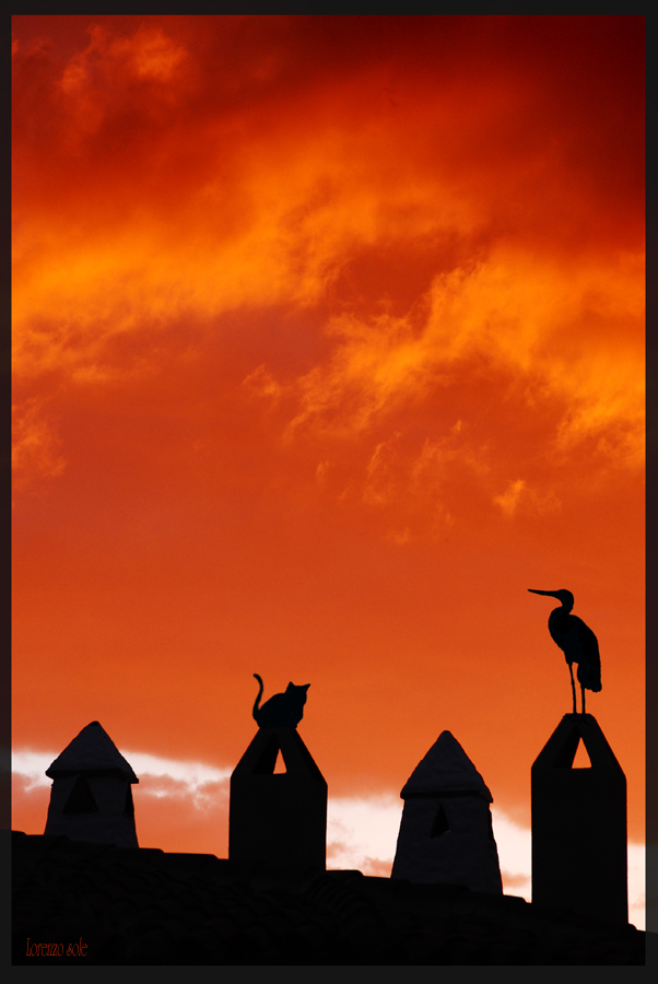 ci vediamo all'alba sul tetto...