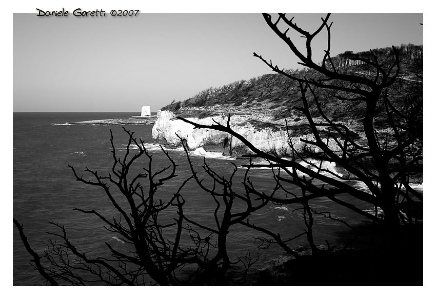 Rimasta tra gli Scheletri