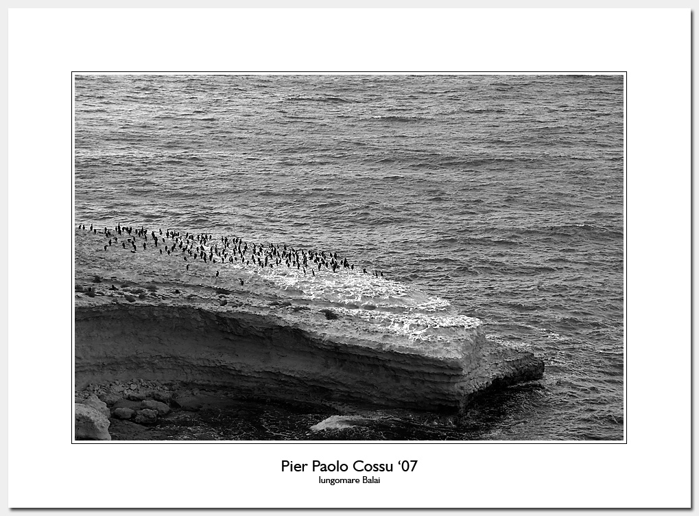 lungomare Balai #60 (come pinguini)