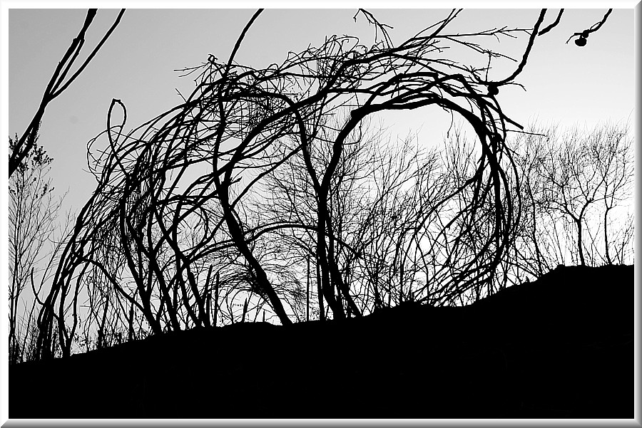 Le onde della follia.