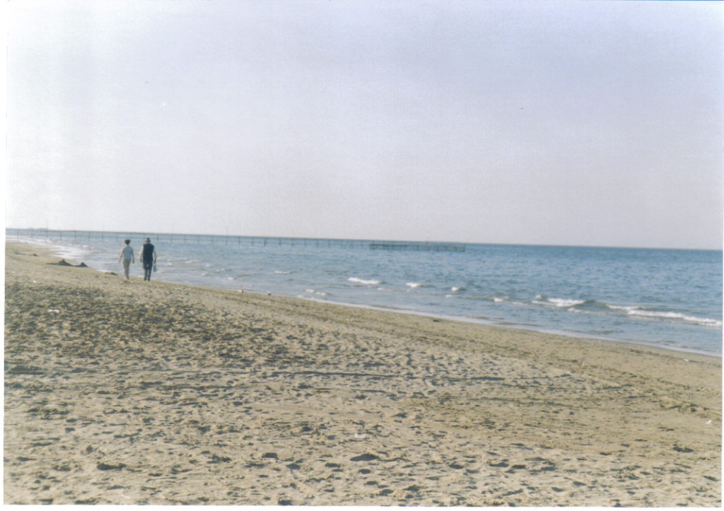 passeggiata in riva al mare