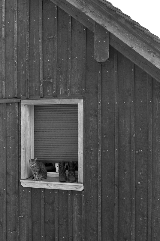 Il gatto con gli stivali