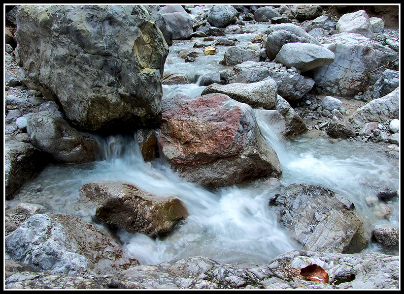 Sul bordo del ruscello
