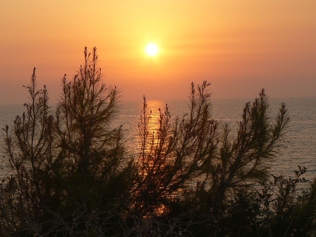 ultima foto della giornata