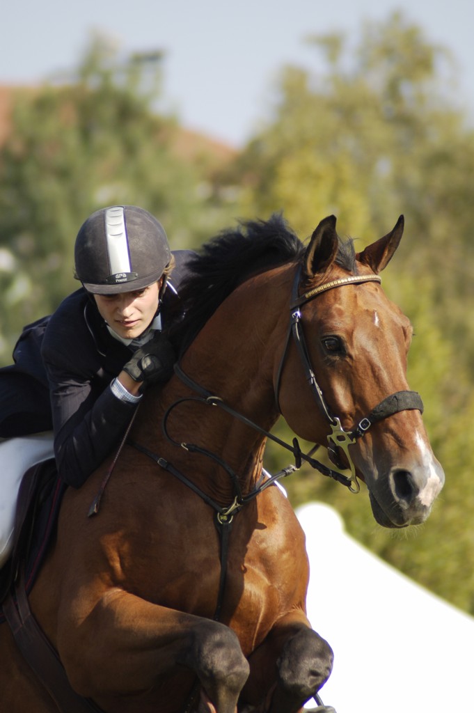 Concorso Ippico Internazionale Citt� di Pinerolo