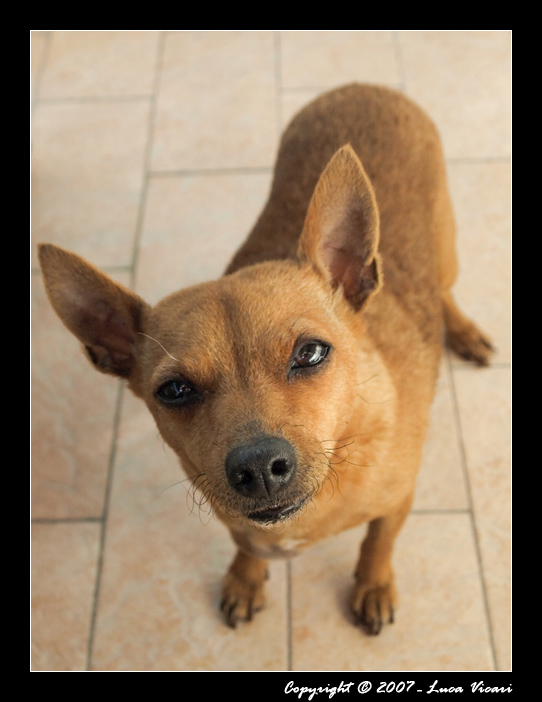 uno sguardo interessato...