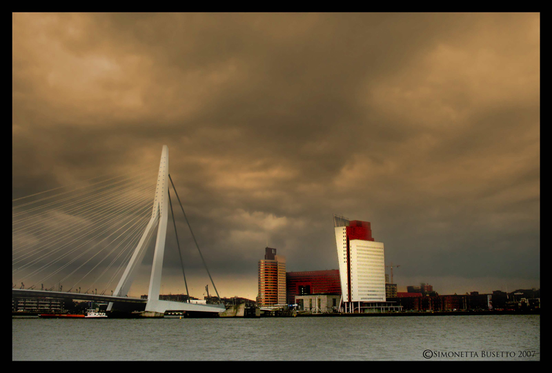rotterdam surreal