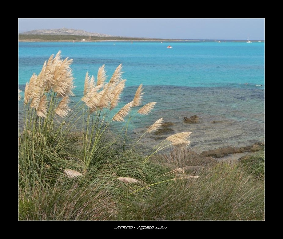 I colori della Sardegna
