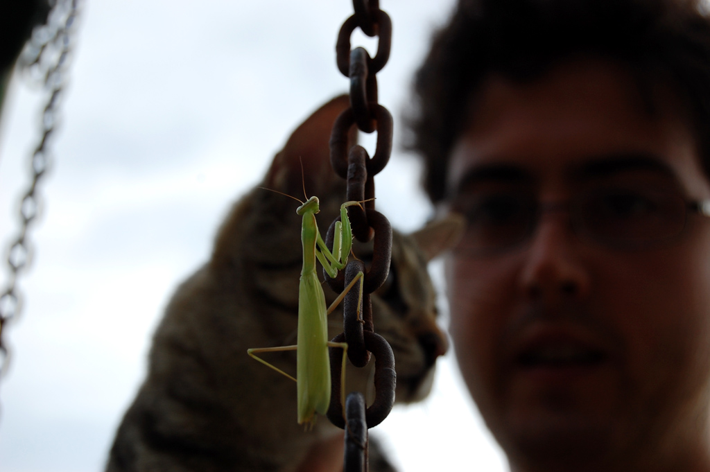 speriamo non mi veda