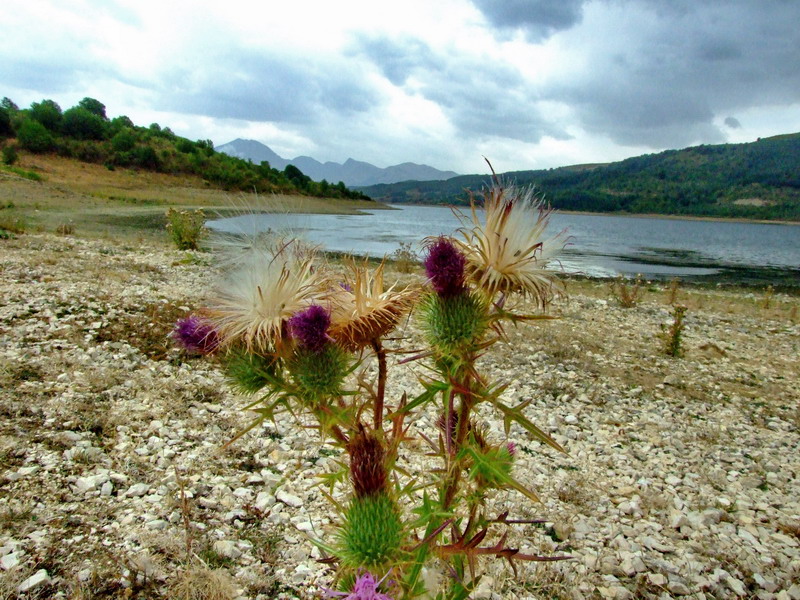 Lago di Campotosto 2007 /2