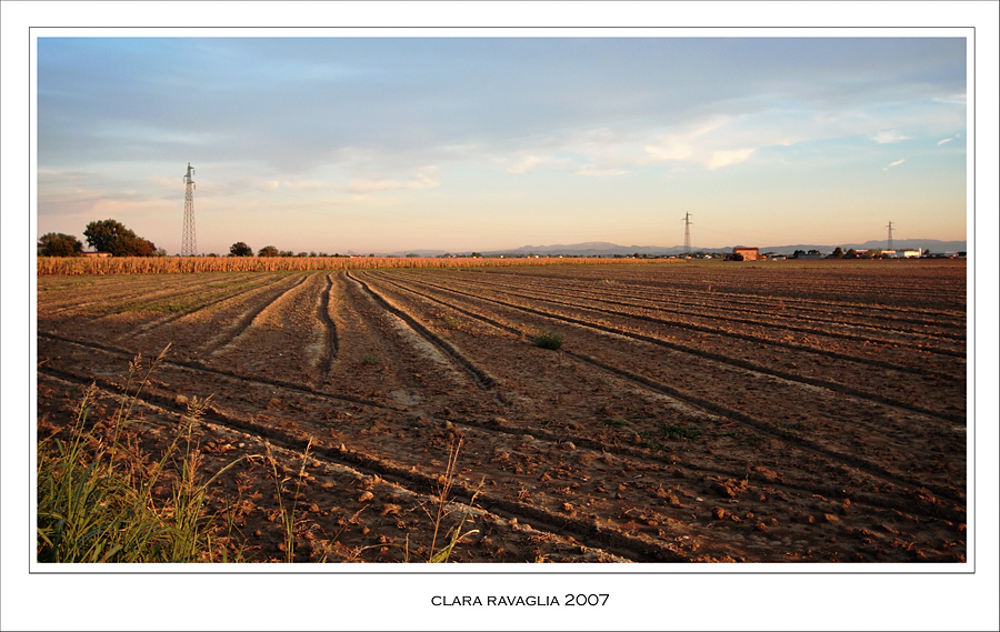 Oro scolpito... in campagna
