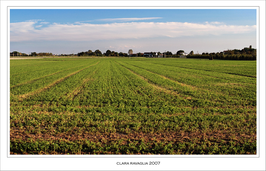 Il piacere... dei colori