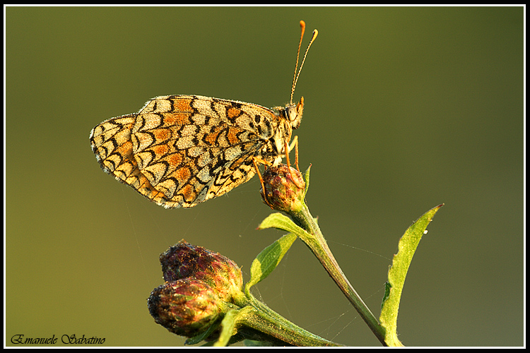Finalmente � arrivato, e ora mi scaldo