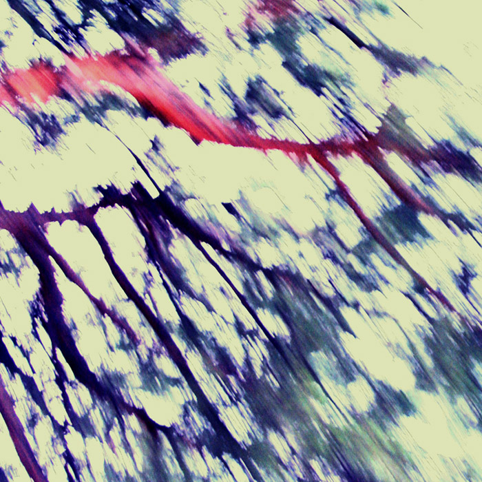 a buzz - pinidistrada