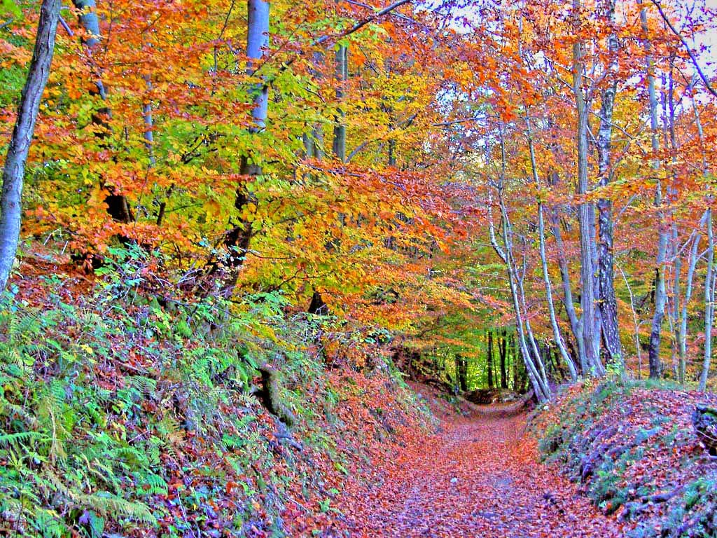 autunno hdr