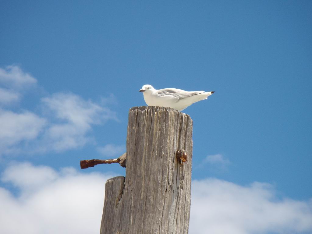 ....in attesa...di un qualcosa.....