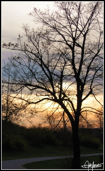 Ore 18.30, Milano, Parco Nord...