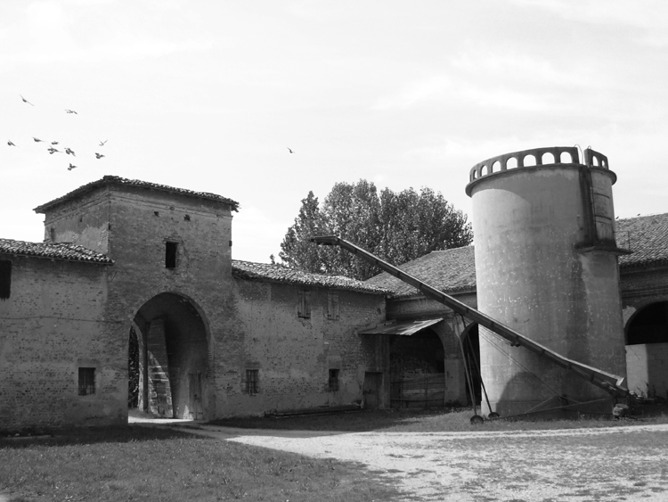 Piccionaia; movimento