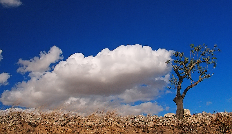 .....fate largo.....