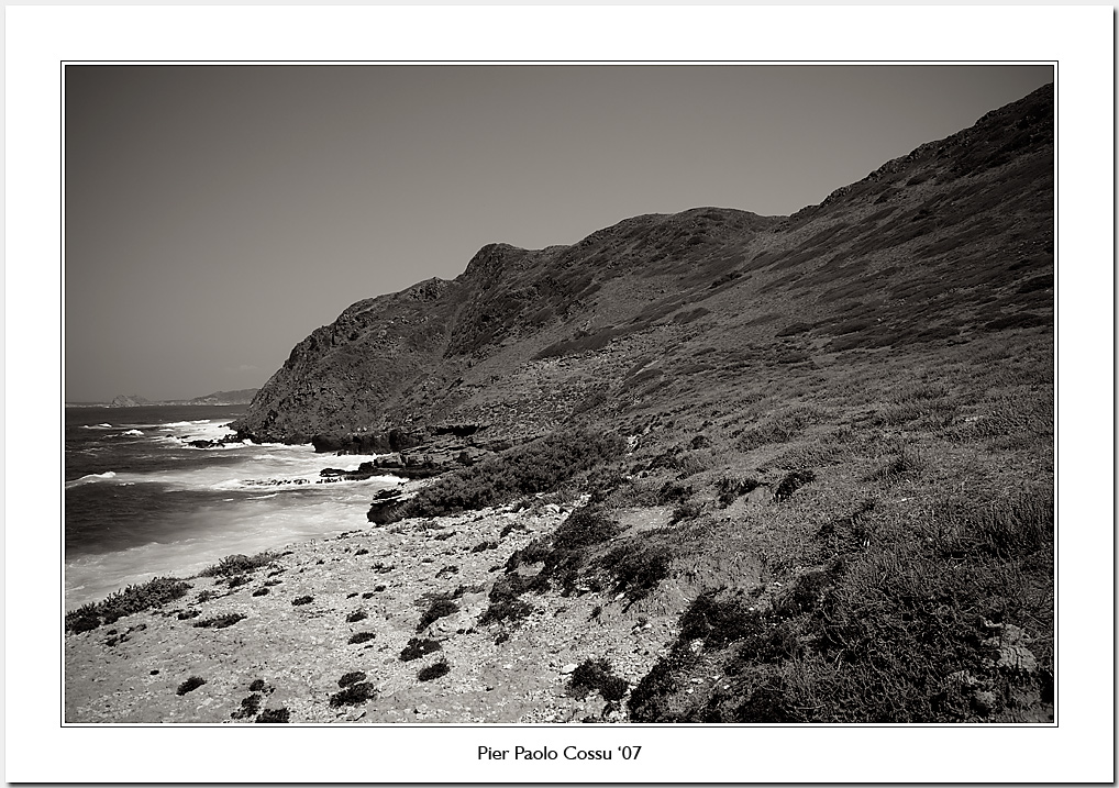 Stintino (mare aperto) #74