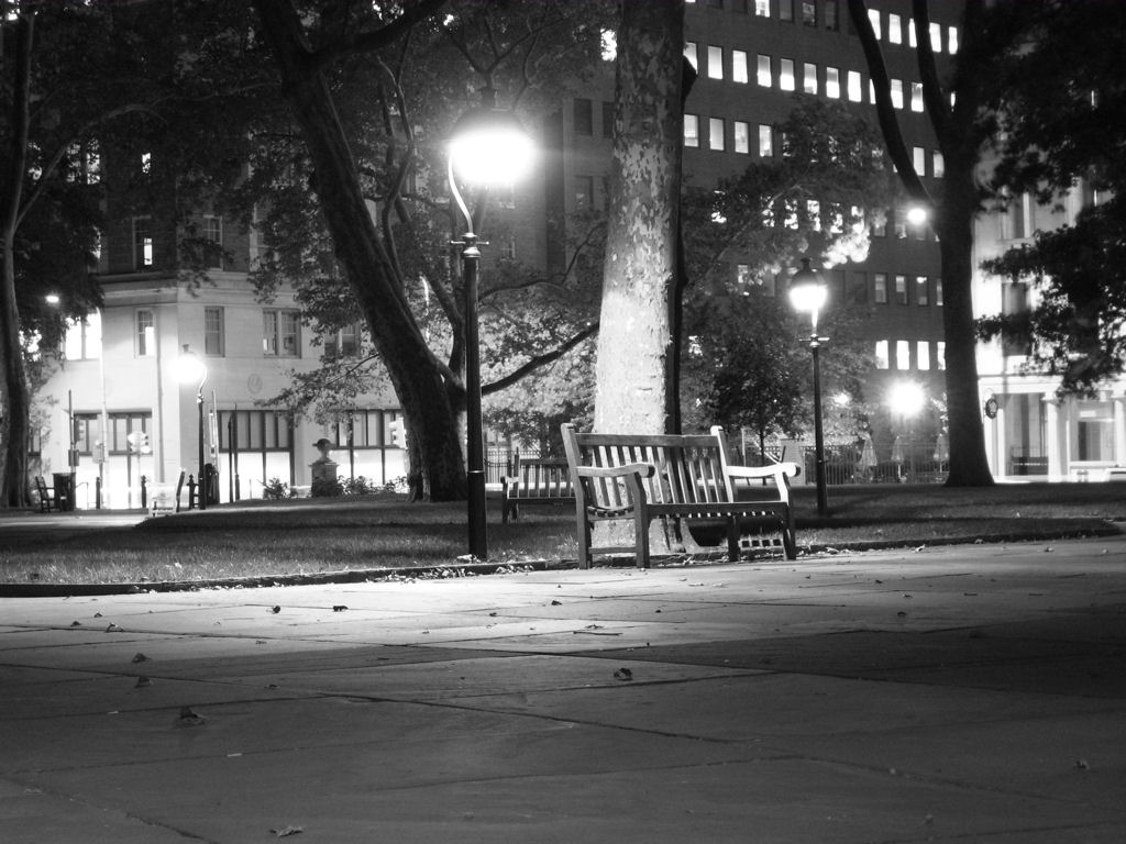 Nightime in the park