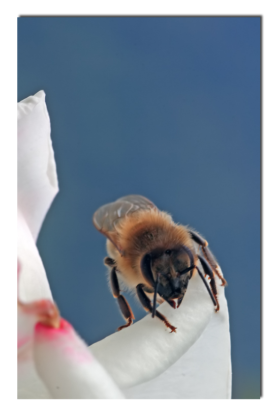 angoli di cielo (Tiromancino)