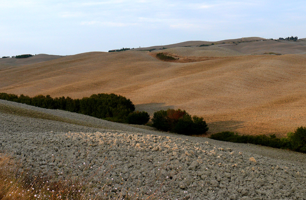 Terre di Toscana 5
