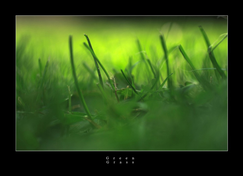 Green Grass