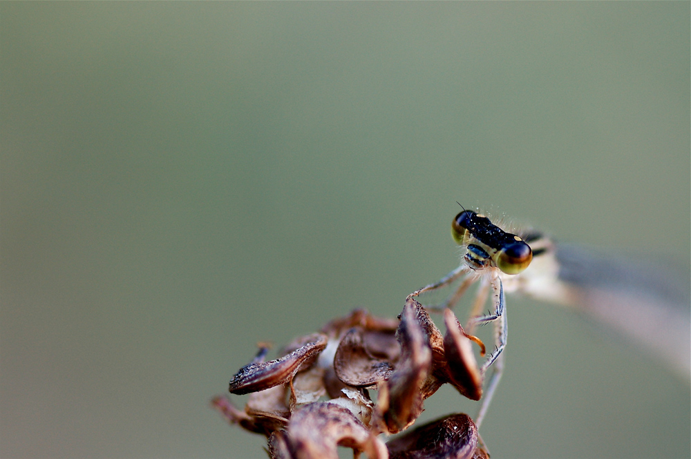 Iniziamo bene la settimana
