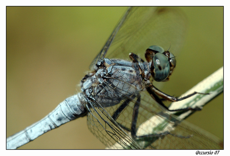 Saliamo ancora un p�