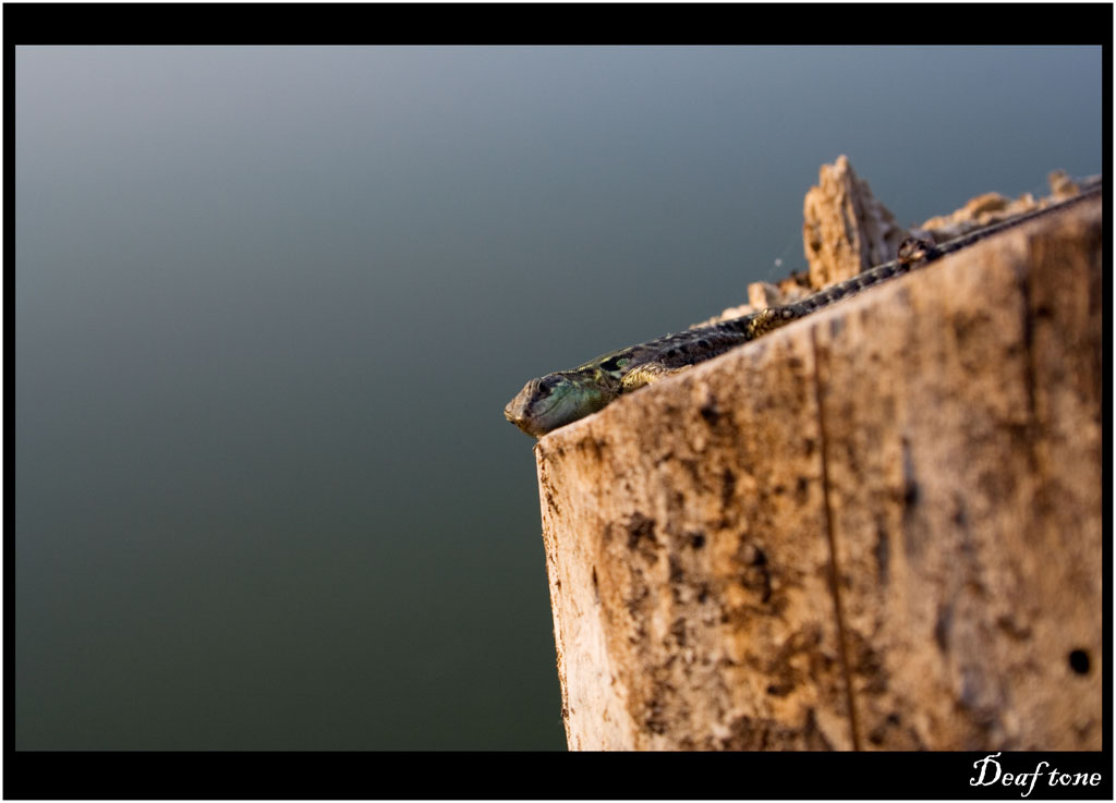 Are you looking at me?