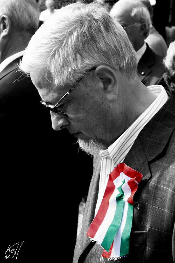 L'Italia che fu - 60esimo anniversario del ritono di Gorizia all'Italia