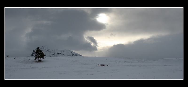 Paesaggio pubblicato