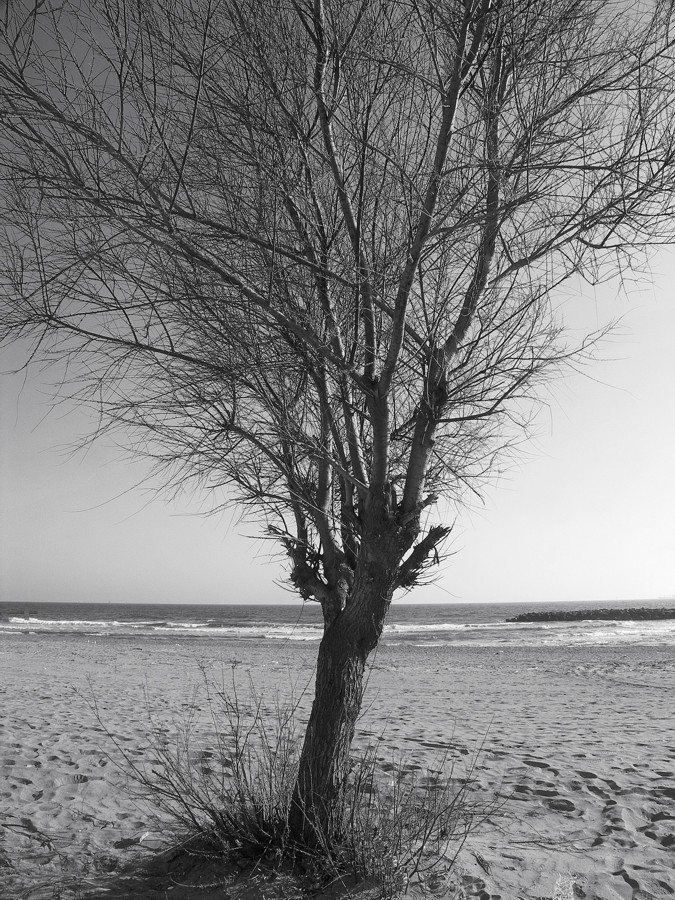 solitudine e malinconia