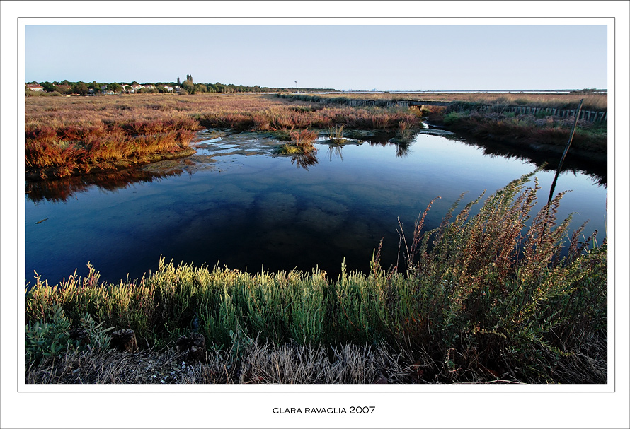 I tesori... della palude