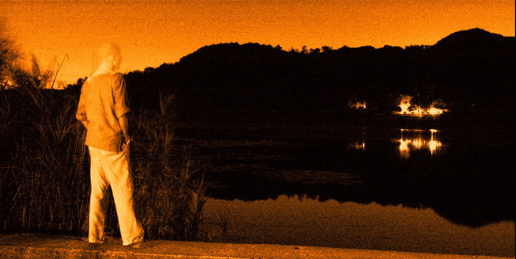 Like a lifeless flower