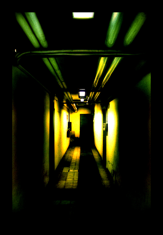 lamento sulle conseguenze della guerra...