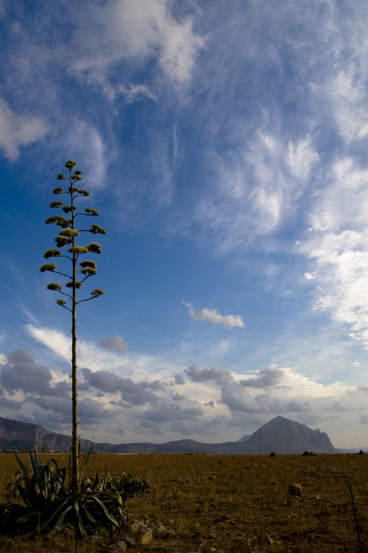 San vito lo Capo