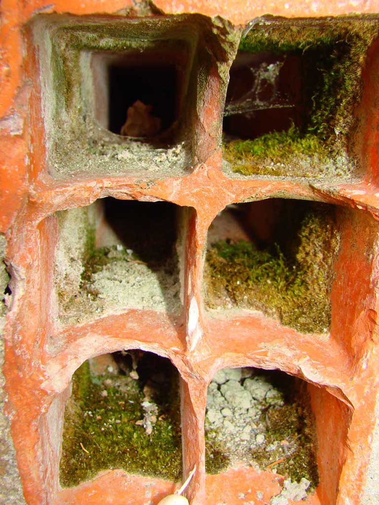 condominio fatiscente